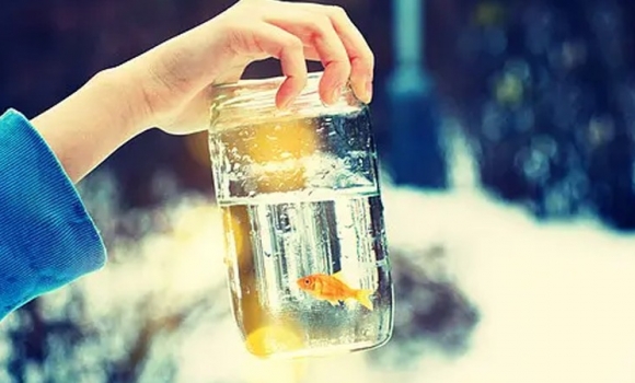 什么是水的渾濁度？